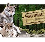 ¡Descubre Natural GreatNess en Nuestra Tienda Online!