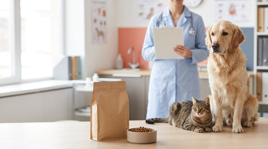 Golden retriever y gato atigrado sobre la mesa de una consulta veterinaria, junto a un saco de pienso y un cuenco con croquetas; al fondo, una veterinaria