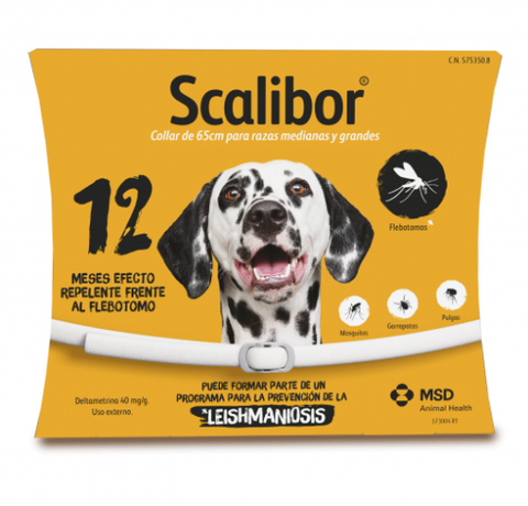 La época ideal para desparasitar a tu mascota y el collar Scalibor