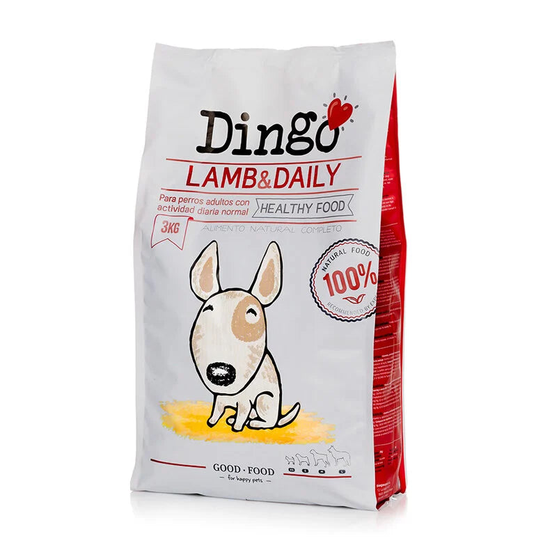 Dingo-Lamm täglich
