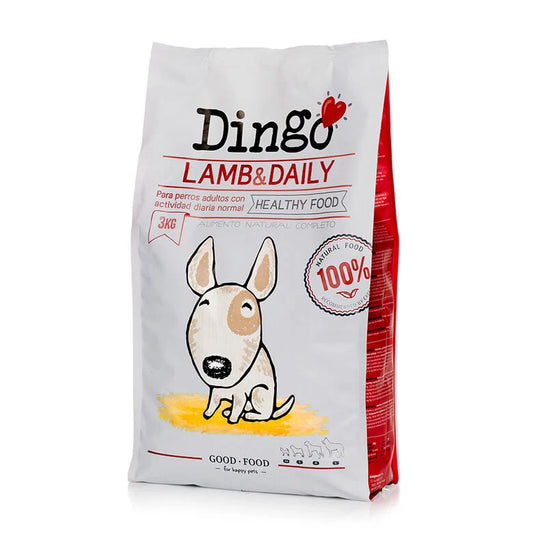 Dingo Lamb Daily