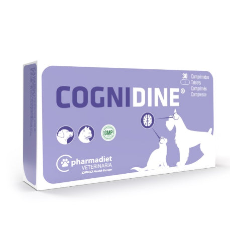 Cognidine Comprimidos sistema cognitivo