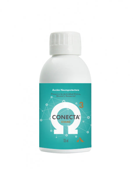 Conecta 03ABD sistema nervioso